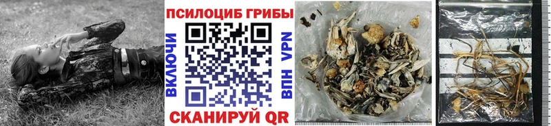 Галлюциногенные грибы Psilocybe  Тимашёвск 