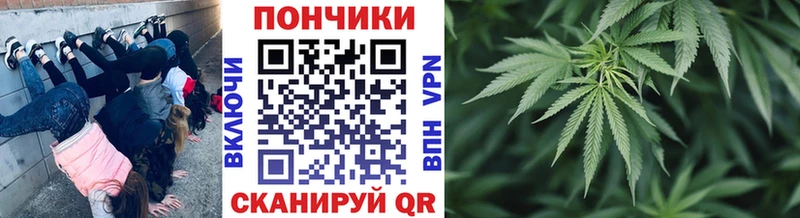 Шишки марихуана тримм  наркотики  Тимашёвск 
